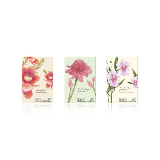 botanical-prints-magnet-set