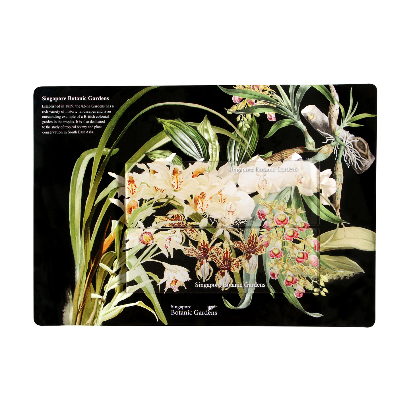 Orchid Collection Long Magnet Set
