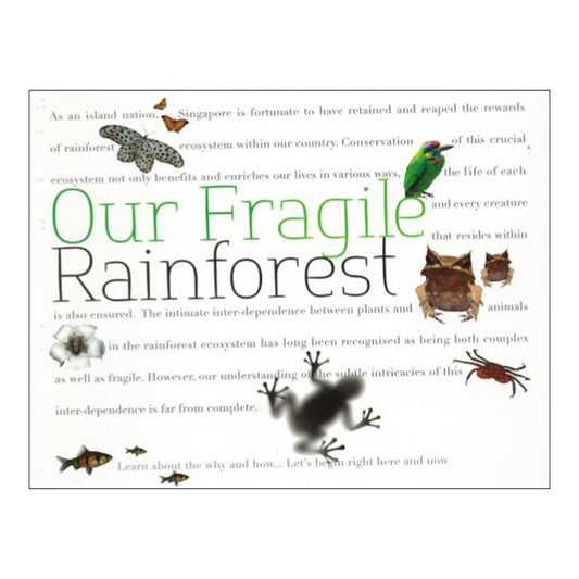 our-fragile-rainforest