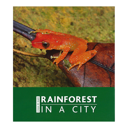 rainforest-in-a-city